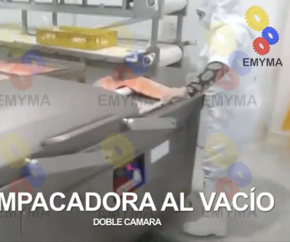 Empacadora al vacio 860
