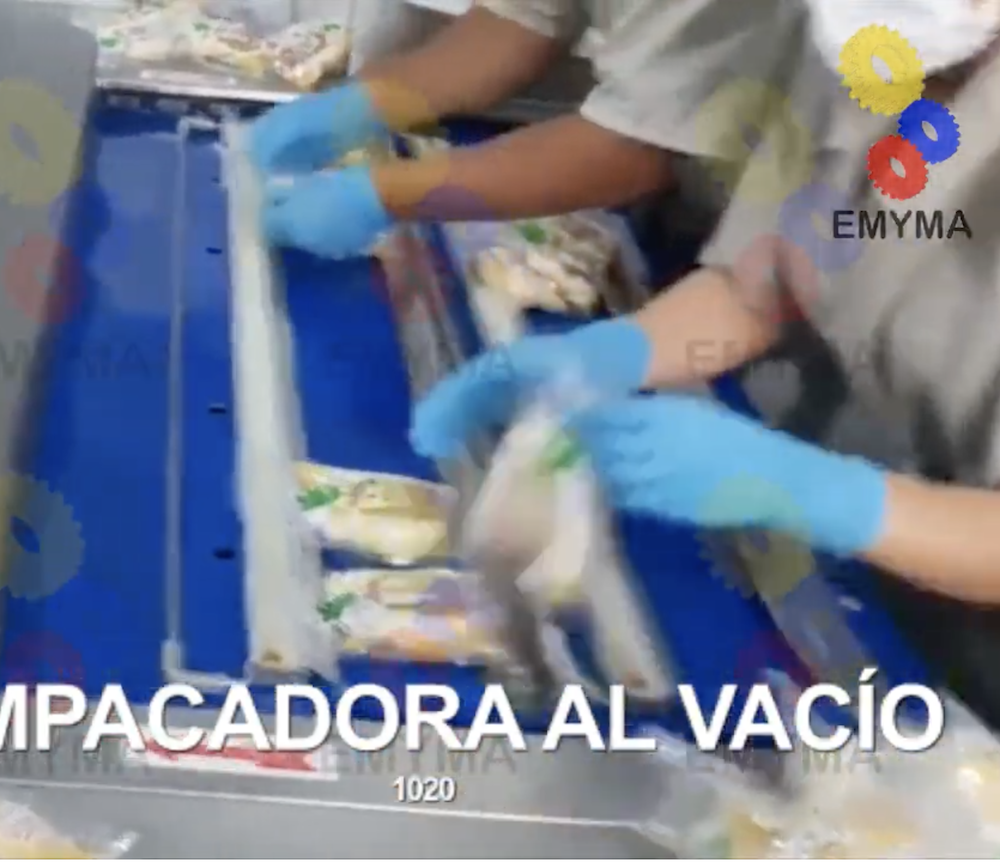 Empacadora al vacio 1020F